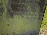 image of grave number 904507